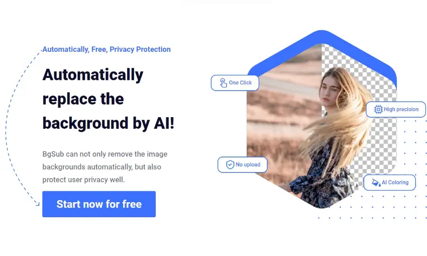 BgSub: AI-Powered Background Remover & Replacer