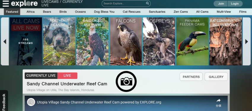 Explore.org: The World's Leading Philanthropic Live Nature Cam Network