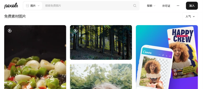 Pexels: A High-Quality Free Stock Photo and Video Platform
