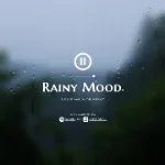 Rainy Mood