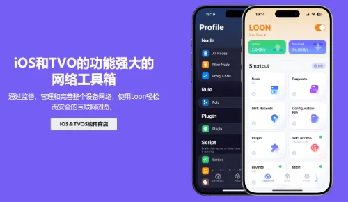 Loon 苹果教程，Netflix 专线 + TikTok 加速，秒开全球网络！