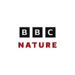 BBC Sound Effects