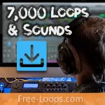 Free Loops