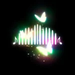 soundcloudaudiodownloader